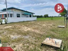 ขายที่ดิน เนื้อที่ 56.3 ตร.วา สระกะเทียม นครปฐม-202510141434341760427274961.jpg