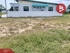 ขายที่ดิน เนื้อที่ 56.3 ตร.วา สระกะเทียม นครปฐม-202510141434351760427275492.jpg