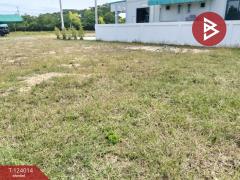 ขายที่ดิน เนื้อที่ 56.3 ตร.วา สระกะเทียม นครปฐม-202510141434361760427276035.jpg