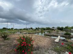 ขายที่ดินเปล่า ทำเลดี  เขตบางขุนเทียน จังหวัดกรุงเทพมหานคร-202510141436541760427414741.jpg