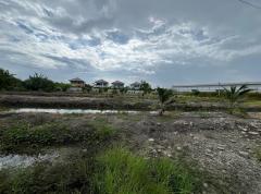 ขายที่ดินเปล่า ทำเลดี  เขตบางขุนเทียน จังหวัดกรุงเทพมหานคร-202510141436551760427415317.jpg