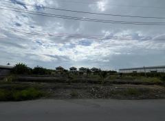 ขายที่ดินเปล่า ทำเลดี  เขตบางขุนเทียน จังหวัดกรุงเทพมหานคร-202510141436561760427416944.jpg