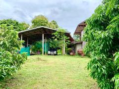 ขายที่ดินพร้อมสิ่งปลูกสร้าง จ.มุกดาหารทิวเขา 360 องศา ล้อมรอบไปด้วยอากาศบริสุทธิ์ และใกล้แหล่งชุมชนที่สัมผัสได้ใกล้ๆเมือง-202510141437251760427445451.jpg