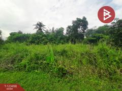 ขายที่ดิน-เนื้อที่-1-งาน-98-ตารางวา-คู้-