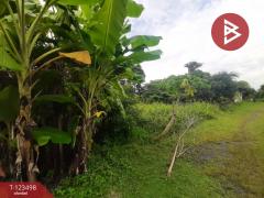 ขายที่ดิน เนื้อที่ 1 งาน 98 ตารางวา คู้-คลองสิบ 4 หนองจอก กรุงเทพมหานคร-202510141448501760428130332.jpg