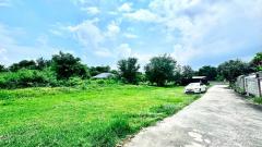 ขายที่ดินขนาดใหญ่ พื้นที่รวมประมาณ 4 ไร่ 3 งาน 39 ตารางวา อ.บางแพ จ.ราชบุรี#LB243 – 001113-202510141553231760432003831.jpg