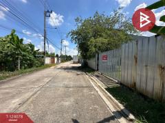 ขายที่ดินถมแล้ว เนื้อที่ 100 ตารางวา ซอยร่วมสุข 8 ลำลูกกา ปทุมธานี ใกล้ถนนรังสิตคลองสี่-202510141614321760433272821.jpg