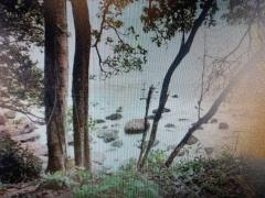 ขายที่ดินแปลงใหญ่ วิวทะเล ตราด -202510141628291760434109349.jpg