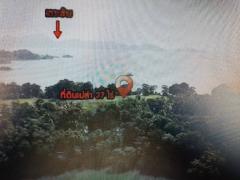 The beautiful Large Land for sale on an island surrounded by the sea area 59,200 sqm. with chanote title-202510141649191760435359579.jpg