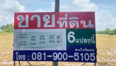 ขายที่ดินเปล่า-7-ไร่-แบ่งขาย-6-แปลง-350---60
