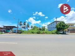 ขายที่ดิน เนื้อที่ 1 งาน 44 ตร.วา บ้านกล้วย สุโขทัย-202510141711521760436712002.jpg