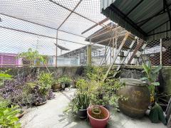 ขายอาคารพาณิชย์ ถนนตะนาว พระนคร ซอยตรอกศาลเจ้าพ่อเสือ กรุงเทพฯ-202510141753111760439191945.jpg