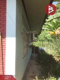 ขายบ้านเดี่ยวพร้อมที่ดิน เนื้อที่ 129 ตารางวา อ.พาน เชียงราย-202510150637311760485051284.jpg