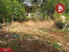 ขายบ้านเดี่ยวพร้อมที่ดิน เนื้อที่ 129 ตารางวา อ.พาน เชียงราย-202510150637321760485052841.jpg