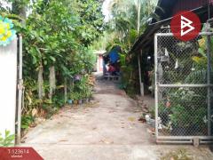 ขายบ้านเดี่ยวพร้อมที่ดิน เนื้อที่ 129 ตารางวา อ.พาน เชียงราย-202510150637331760485053366.jpg