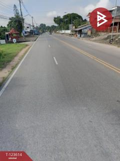 ขายบ้านเดี่ยวพร้อมที่ดิน เนื้อที่ 129 ตารางวา อ.พาน เชียงราย-202510150637341760485054405.jpg