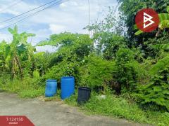 ขายด่วนที่ดินเปล่า-เนื้อที่-1-ไร่-หน