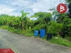 ขายด่วนที่ดินเปล่า เนื้อที่ 1 ไร่ หนองจอก กรุงเทพฯ-202510150904301760493870759.jpg