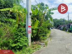 ขายด่วนที่ดินเปล่า เนื้อที่ 1 ไร่ หนองจอก กรุงเทพฯ-202510150904321760493872343.jpg