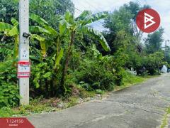 ขายด่วนที่ดินเปล่า เนื้อที่ 1 ไร่ หนองจอก กรุงเทพฯ-202510150904321760493872874.jpg