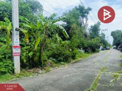 ขายด่วนที่ดินเปล่า เนื้อที่ 1 ไร่ หนองจอก กรุงเทพฯ-202510150904331760493873408.jpg