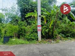 ขายด่วนที่ดินเปล่า เนื้อที่ 1 ไร่ หนองจอก กรุงเทพฯ-202510150904331760493873938.jpg