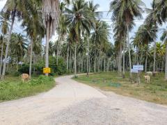 ขายที่ดินสวย ทำเลดี ติดคลองอ่างทอง ใกล้ชายทะเลทับสะแก ประจวบคีรีขันธ์-202510150949511760496591091.jpg