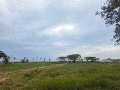 ขายที่ดินสวย ทำเลดี ติดคลองอ่างทอง ใกล้ชายทะเลทับสะแก ประจวบคีรีขันธ์-202510150949541760496594993.jpg