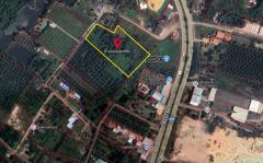 ขายที่ดิน 7 ไร่ เมืองชุมพร เหมาะทำโครงการจัดสรร บ้านจัดสรร หรือโกดัง ทำเลดีมาก-202510151011471760497907129.jpg