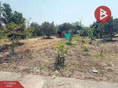 ขายที่ดินพร้อมบ้าน 2 หลัง เนื้อที่ 2 ไร่ 1 งาน 0.9 ตารางวา บ้านค่าย ระยอง-202510151044411760499881670.jpg