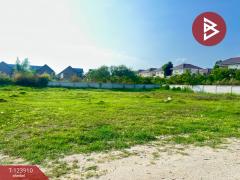 ขายที่ดิน-เนื้อที่-3-งาน-81-ตารางวา-เหม