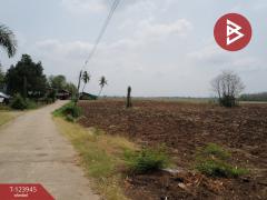 ขายที่ดิน เนื้อที่ 29 ไร่ 2 งาน 59.8 ตร.วา ตากฟ้า นครสวรรค์