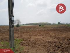 ขายที่ดิน เนื้อที่ 29 ไร่ 2 งาน 59.8 ตร.วา ตากฟ้า นครสวรรค์-202510151206321760504792028.jpg