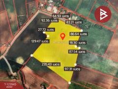 ขายที่ดิน เนื้อที่ 29 ไร่ 2 งาน 59.8 ตร.วา ตากฟ้า นครสวรรค์-202510151206331760504793634.jpg