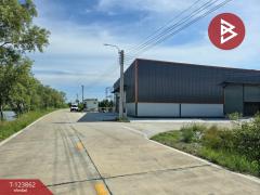 ขายโกดังพร้อมออฟฟิศ เนื้อที่ 1 งาน 59.1 ตร.วา พระสมุทรเจดีย์ สมุทรปราการ-202510151306011760508361894.jpg