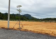 ขายที่ดิน ตำบลสามร้อยยอด อำเภอสามร้อยยอด ประจวบคีรีขันธ์-202510151320301760509230598.jpg