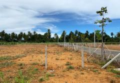 ขายที่ดิน ตำบลสามร้อยยอด อำเภอสามร้อยยอด ประจวบคีรีขันธ์-202510151320321760509232101.jpg