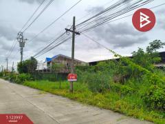 ขายที่ดินเปล่า เนื้อที่ 76 ตารางวา ลาดกระบัง กรุงเทพมหานคร-202510151414101760512450218.jpg