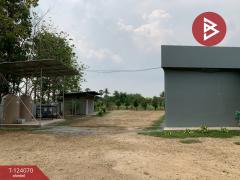 ขายด่วนที่ดินพร้อมสิ่งปลูกสร้าง เนื้อที่ 2 ไร่ กำแพงแสน นครปฐม-202510151457331760515053865.jpg