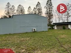 ขายด่วนที่ดินพร้อมสิ่งปลูกสร้าง เนื้อที่ 2 ไร่ กำแพงแสน นครปฐม-202510151457341760515054400.jpg