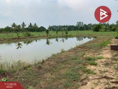 ขายด่วนที่ดินพร้อมสิ่งปลูกสร้าง เนื้อที่ 2 ไร่ กำแพงแสน นครปฐม-202510151457351760515055990.jpg