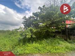 ขายที่ดินเปล่า-เนื้อที่-101-ตารางวา-ลา