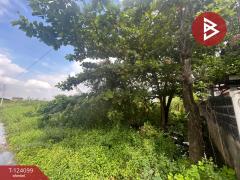 ขายที่ดินเปล่า เนื้อที่ 101 ตารางวา ลาดกระบัง ฉลองกรุง 11 กรุงเทพมหานคร-202510151511401760515900394.jpg