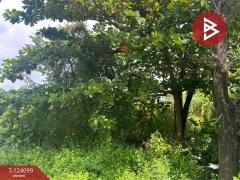 ขายที่ดินเปล่า เนื้อที่ 101 ตารางวา ลาดกระบัง ฉลองกรุง 11 กรุงเทพมหานคร-202510151511401760515900925.jpg