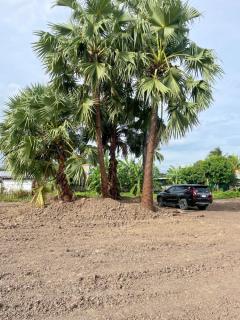 ขายที่ดินถมแล้ว 6 ไร่ 1 งาน ติดถนนมาลัยแมน อ.เมือง จ.สุพรรณบุรี เหมาะทำธุรกิจทุกประเภท (เจ้าของขายเอง)-202510151526281760516788383.jpg