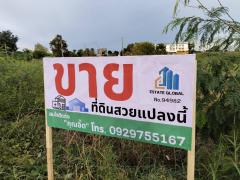 ขายที่ดิน บางปะอิน อยุธยา 589 ตรว.