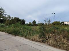 ขายที่ดิน บางปะอิน อยุธยา 589 ตรว.-202510151549261760518166661.jpg