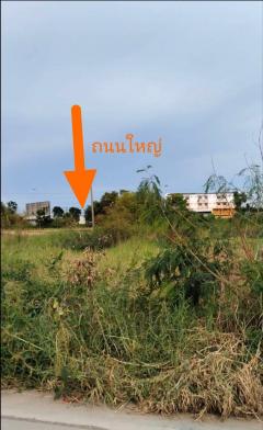 ขายที่ดิน บางปะอิน อยุธยา 589 ตรว.-202510151549271760518167754.jpg