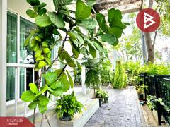 ขายบ้านเดี่ยว หมู่บ้านอิคอนเนเจอร์ พระราม2-เทียนทะเล บางขุนเทียน กรุงเทพมหานคร-202510151606511760519211301.jpg