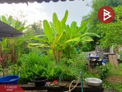 ขายบ้านเดี่ยว เนื้อที่ 2 งาน 1.6 ตร.วา เจดีย์หัก ราชบุรี-202510151632271760520747448.jpg